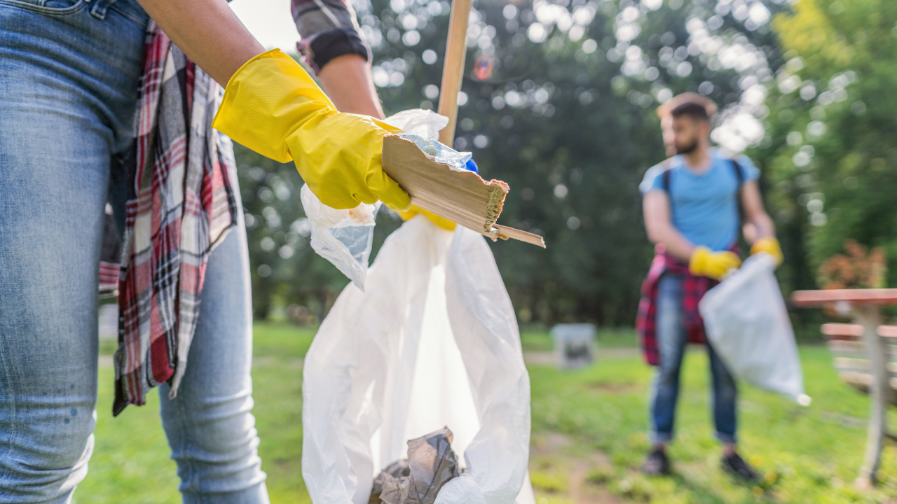 Disaster Cleanup Near Me